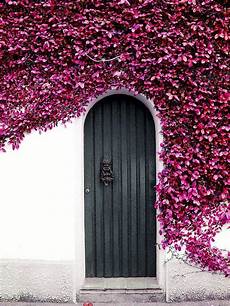 Purple Door Knobs