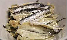 Anchovy