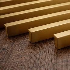 Brass Hinge