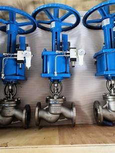 Globe Acid Valves