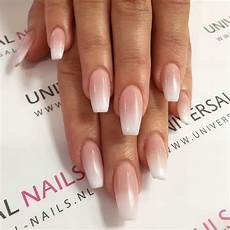 Long Strip Nails