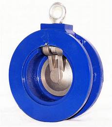 Non Return Valves