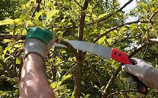 Pruning Saw