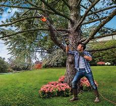 Pruning Saw