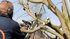 Pruning Saw