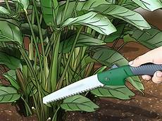 Pruning Saw