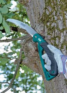 Pruning Saws