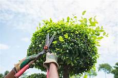 Pruning Saws