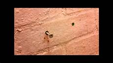 Screw Anchor