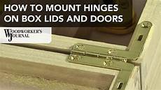 Shed Hinge