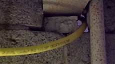 Standard Stainless Steel Clamps